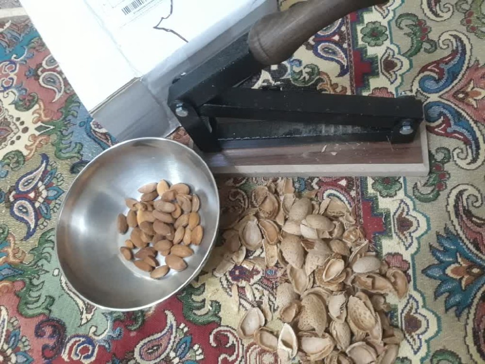 بادام‌شکن و گردوشکن نشکن؛ با بدنه فولادی و طول عمر بالا